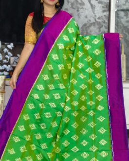Pure Pochampally Ikkat Silk Body Color Green Border Pallu Purple 119