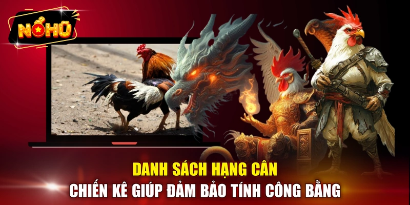 Danh sách hạng cân chiến kê giúp đảm bảo tính công bằng 